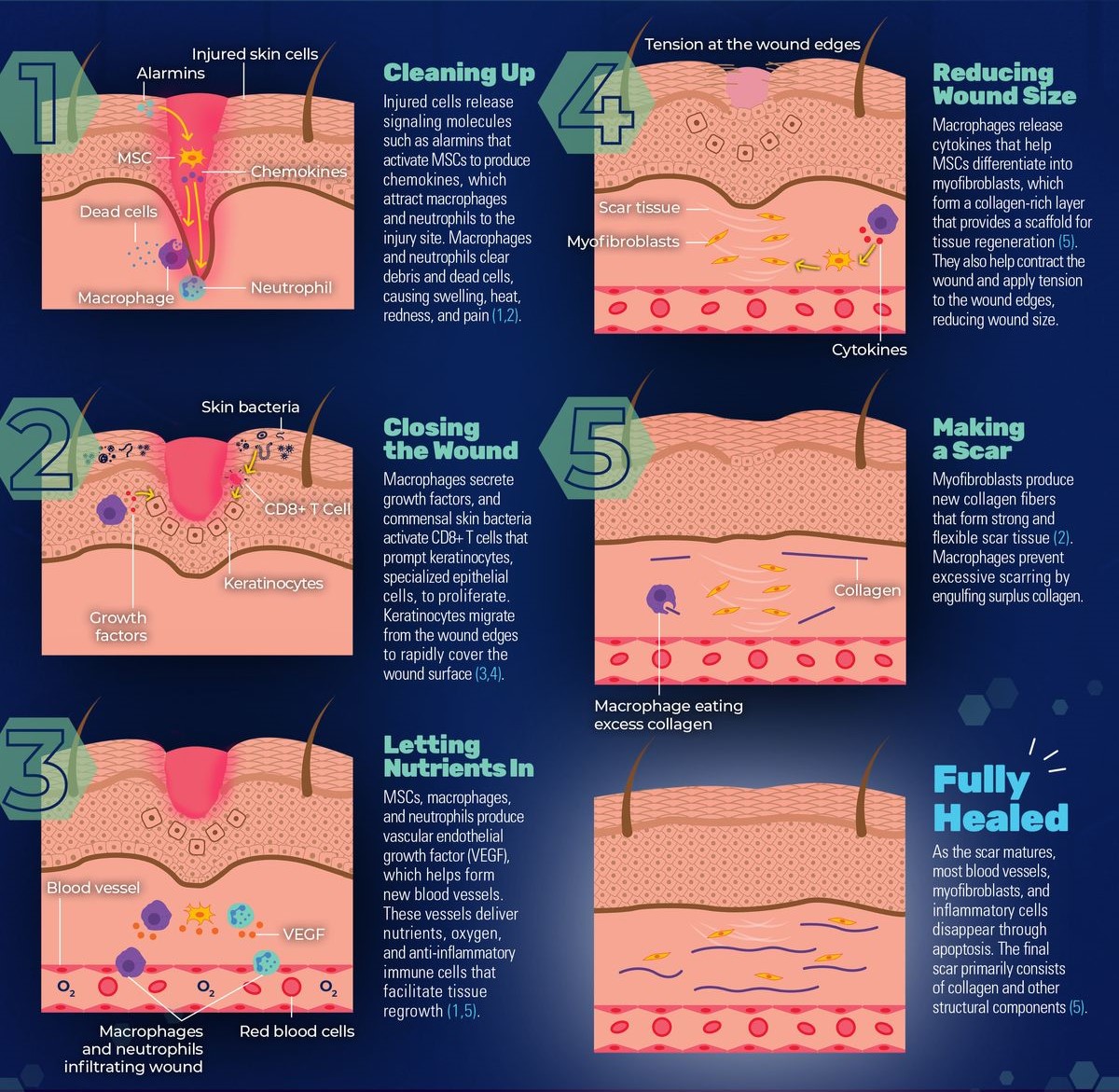 Công Nghệ Skin Healing Cho Da Mụn